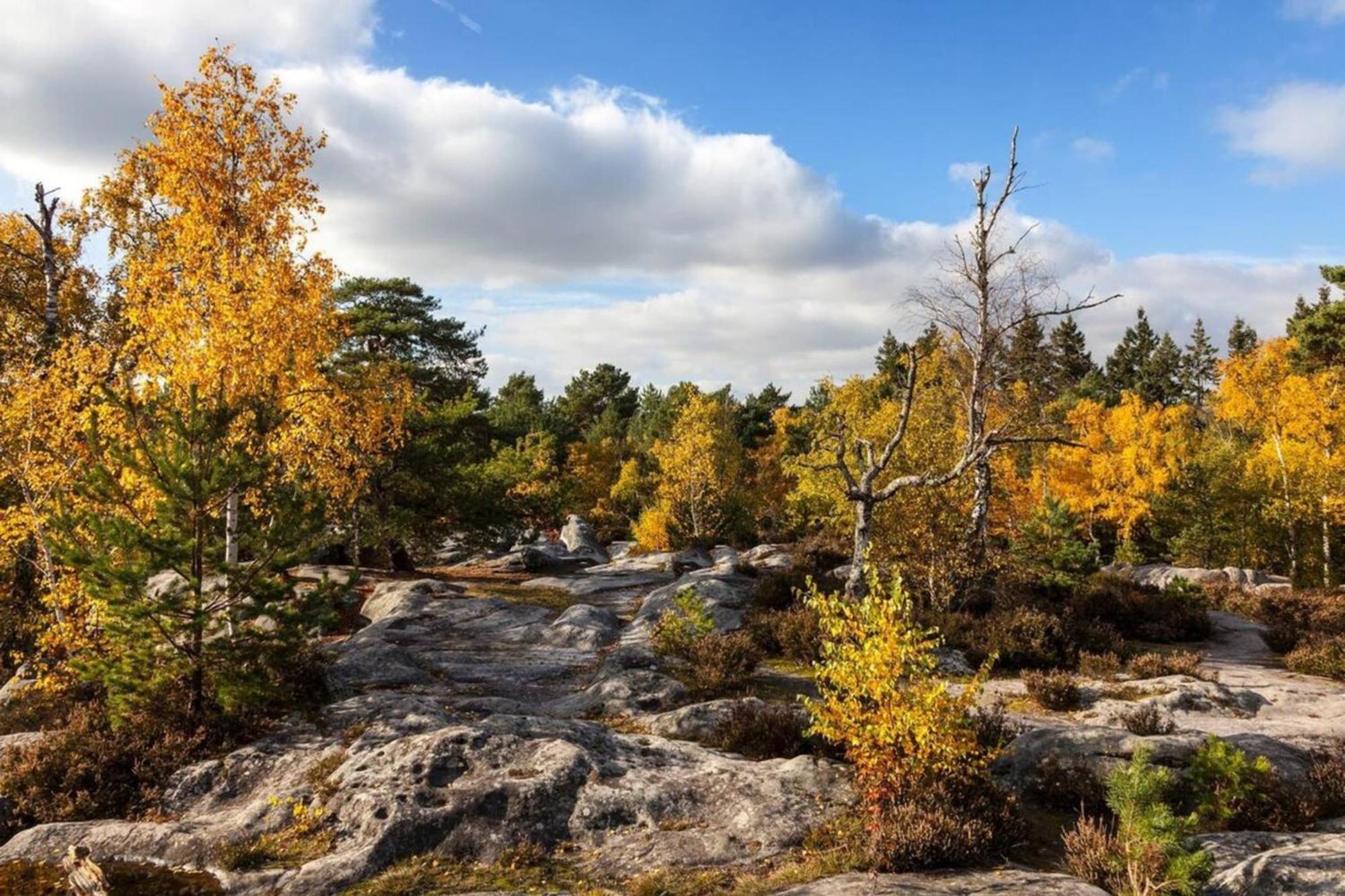 Fontainebleau - Chez Julien Lägenhet Exteriör bild